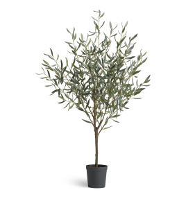 Олива Топиари Нэйчерел (серия Prime)