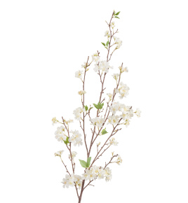 Ветка Сакуры белая Дворец императора большая