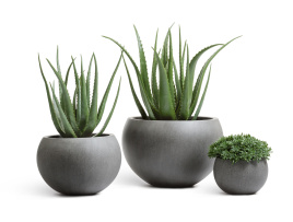 Сет № 86 - Композиция с алоэ в кашпо Treez Effectory Beton