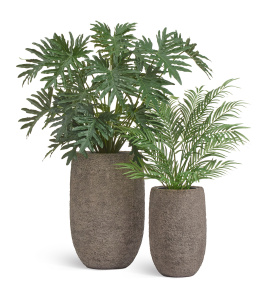 Сет № 90 - Композиция с филодендроном в кашпо Treez Effectory Terra