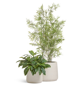 Сет № 112 - Композиция с бамбуком в кашпо Treez Effectory Fine Rock