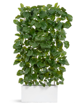 Сет № 135 - Композиция с тетрастигмой в кашпо Treez Effectory Gloss