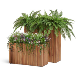 Сет № 143 - Композиция папортоники и цветущее разнотравье в кашпо Treez Effectory Timberline