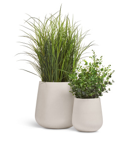 Сет № 154 - Композиция с тростником и эвкалиптом в кашпо Treez Effectory Fine Rock