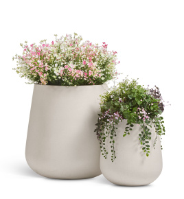 Сет № 155 - Композиция с цветущими полевыми кустами в кашпо Treez Effectory Fine Rock