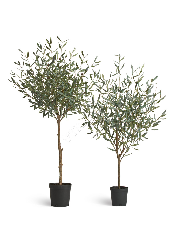 Олива Топиари Шар (серия Prime) фото