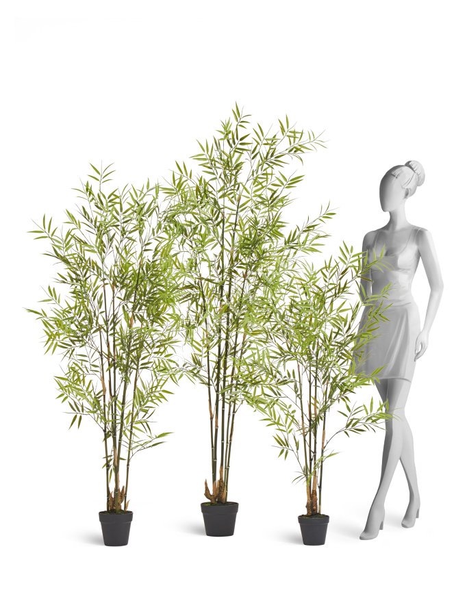 Бамбук японский Style (с UV-фильтром)  фото