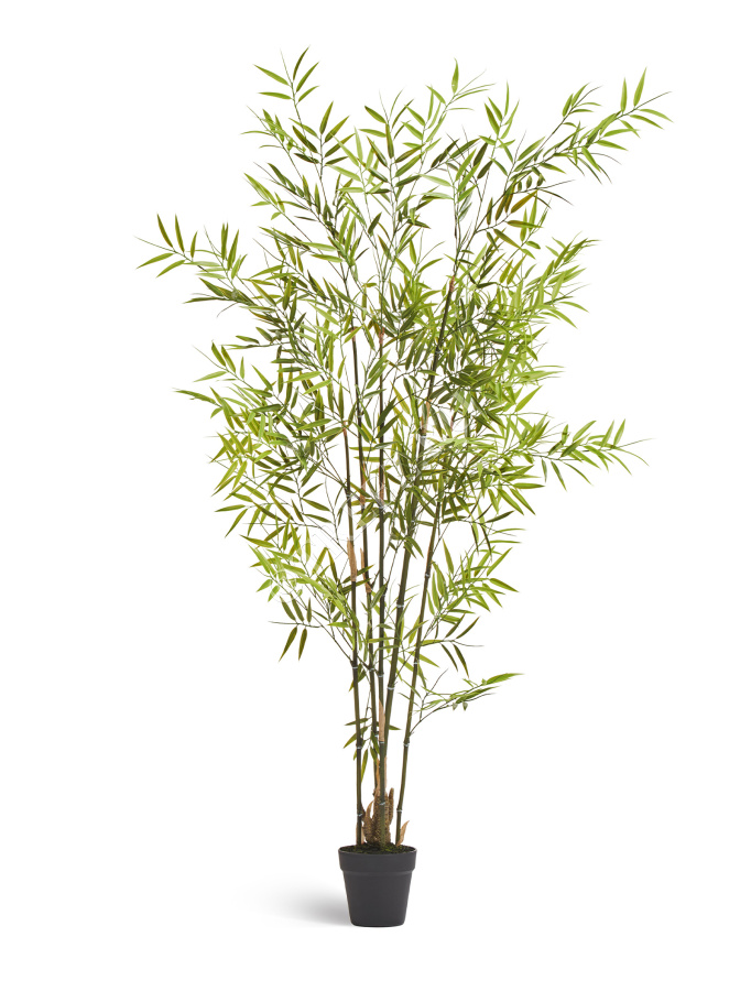 Бамбук японский Style (с UV-фильтром)  фото