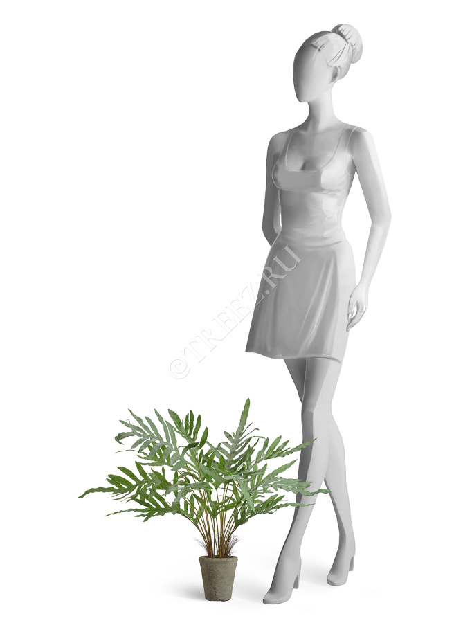 Папоротник Рэббит Фут в керамическом кашпо фото