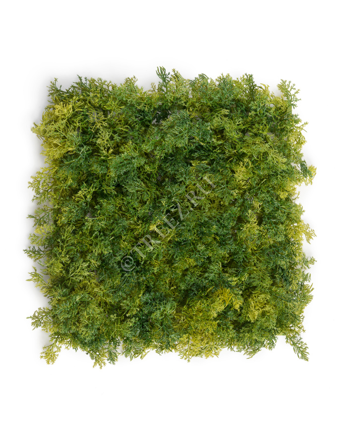 Мох Ягель зелёный микс (коврик) фото