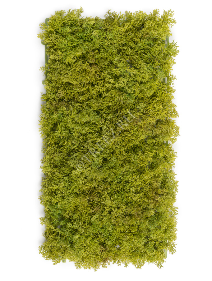 Мох Ягель светло-зелёный микс (коврик) фото