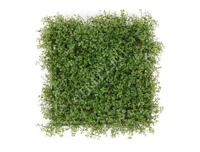 Коврик газон Рясковый Мох фото