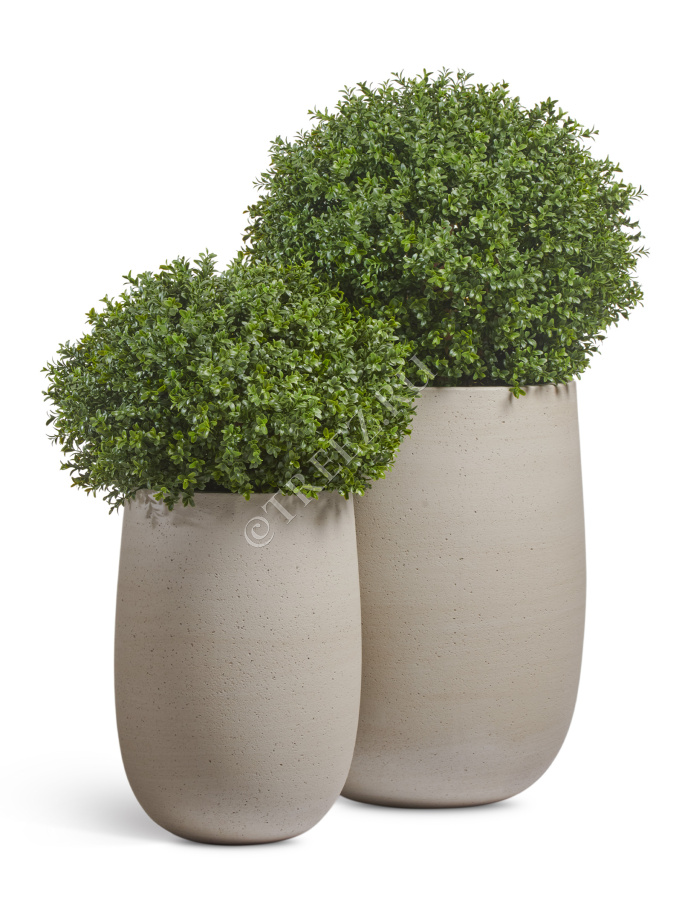 Кашпо TREEZ ERGO - Fine Rock - Высокая округлая чаша - Белый песок фото