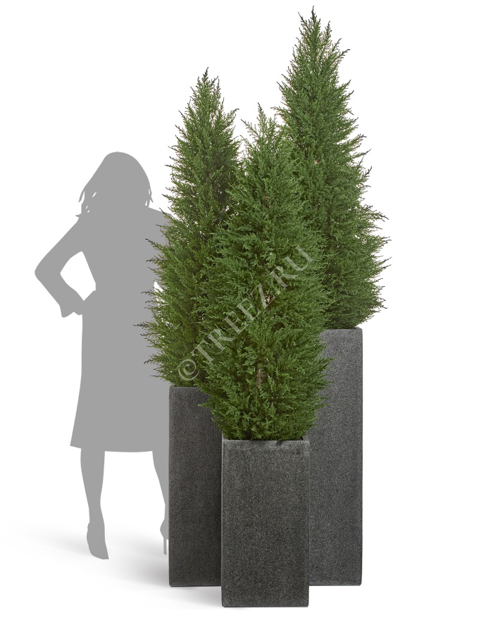 Кашпо TREEZ Effectory - Stone - Высокий куб - Тёмно-серый камень фото