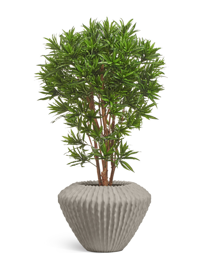 Кашпо TREEZ Effectory - Moho - Design-конус - Белый песок фото