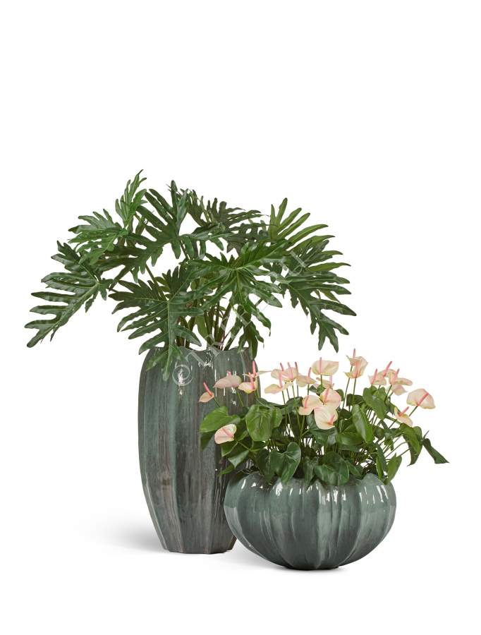 Кашпо TREEZ Effectory - Aura - Низкая Design-чаша - Изумрудный лак фото