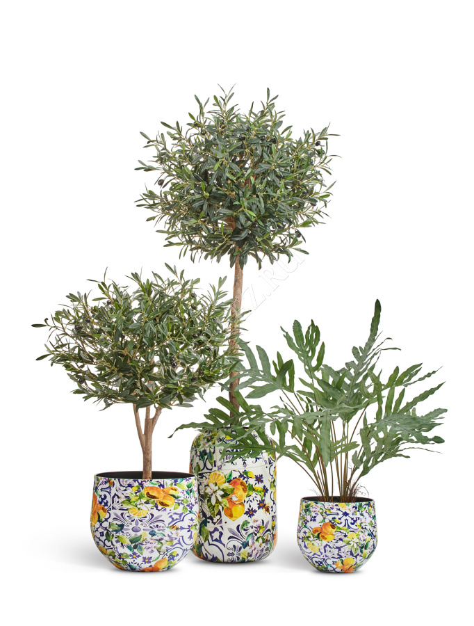 Кашпо TREEZ Effectory - Savage Garden - Design-ваза - Capri фото