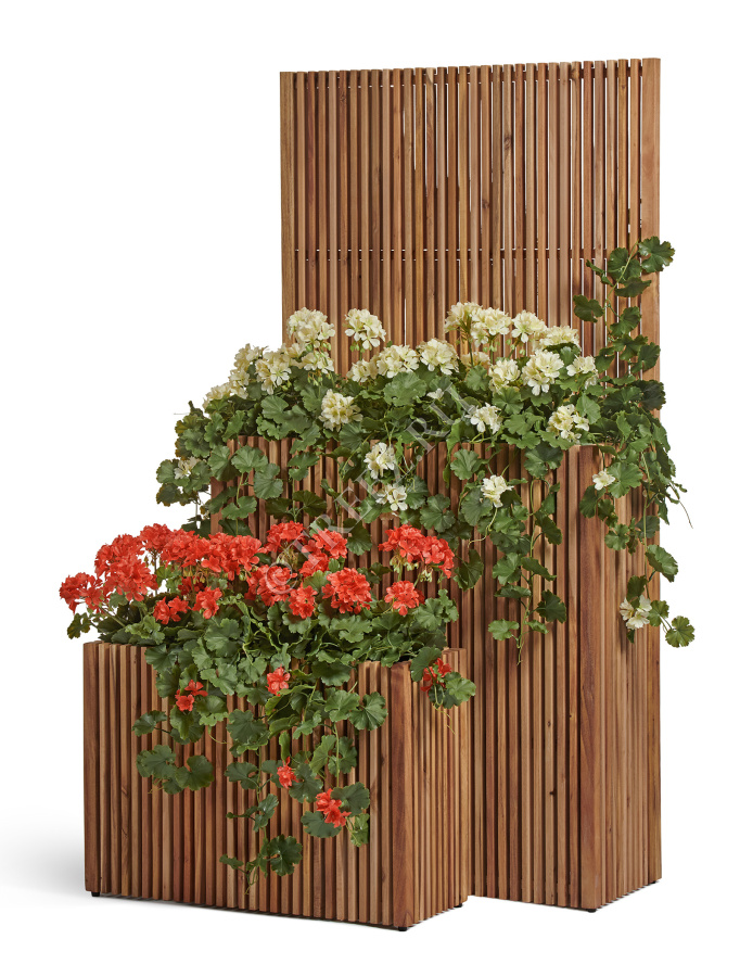 Кашпо TREEZ Effectory - Timberline - Высокий дивайдер со стенкой - Тёмное дерево фото