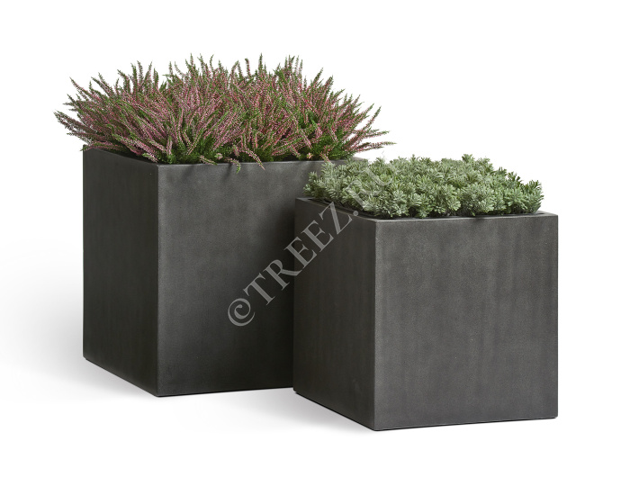 Кашпо TREEZ Effectory - Beton - Куб - Тёмно-серый бетон фото