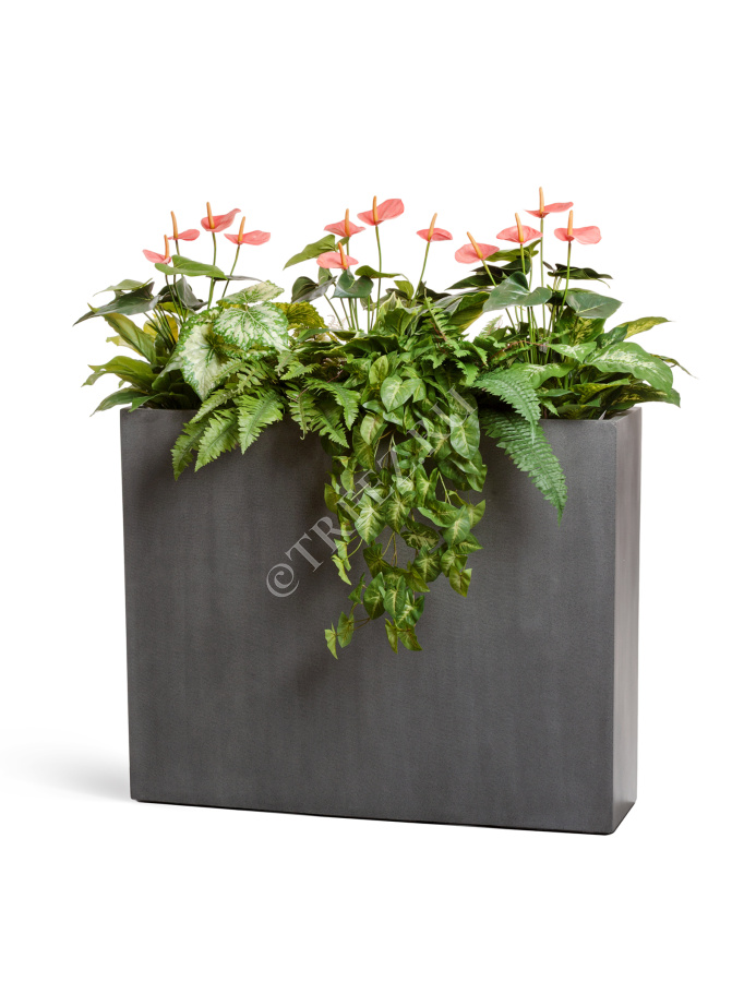 Кашпо TREEZ Effectory - Beton - Высокий Дивайдер - Тёмно-серый бетон фото