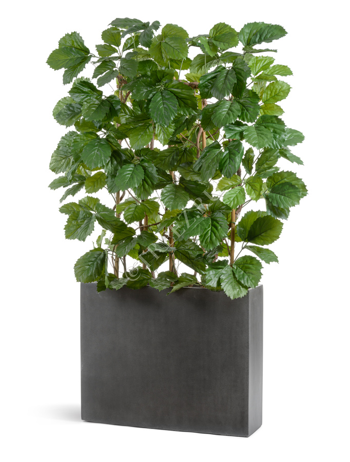 Кашпо TREEZ Effectory - Beton - Высокий Дивайдер - Тёмно-серый бетон фото