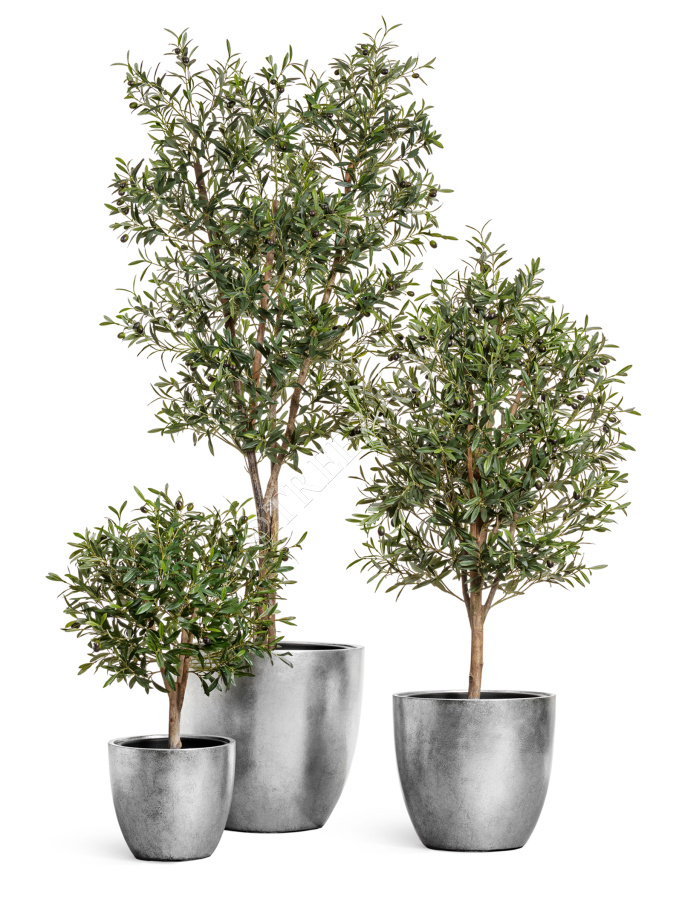 Кашпо TREEZ Effectory - Metal - Округлый конус - Серебро фото