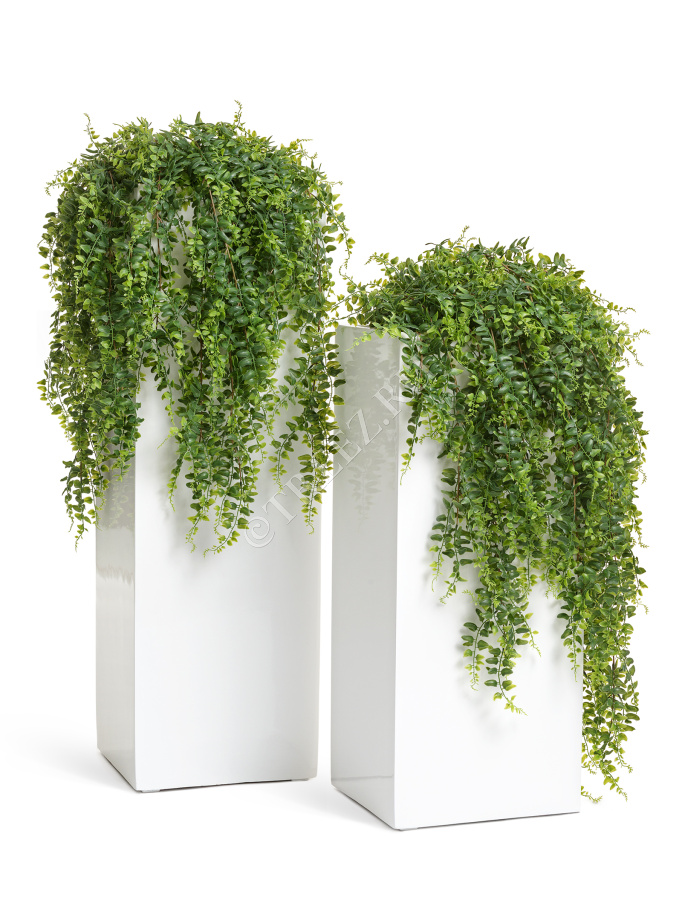 Кашпо TREEZ Effectory - Gloss - Высокий куб - Белый глянцевый лак фото