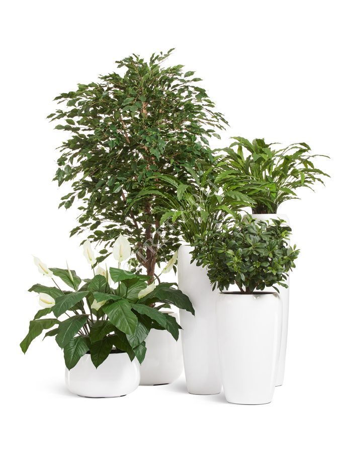 Кашпо TREEZ Effectory - Gloss - Высокий конус Design - Белый глянцевый лак фото