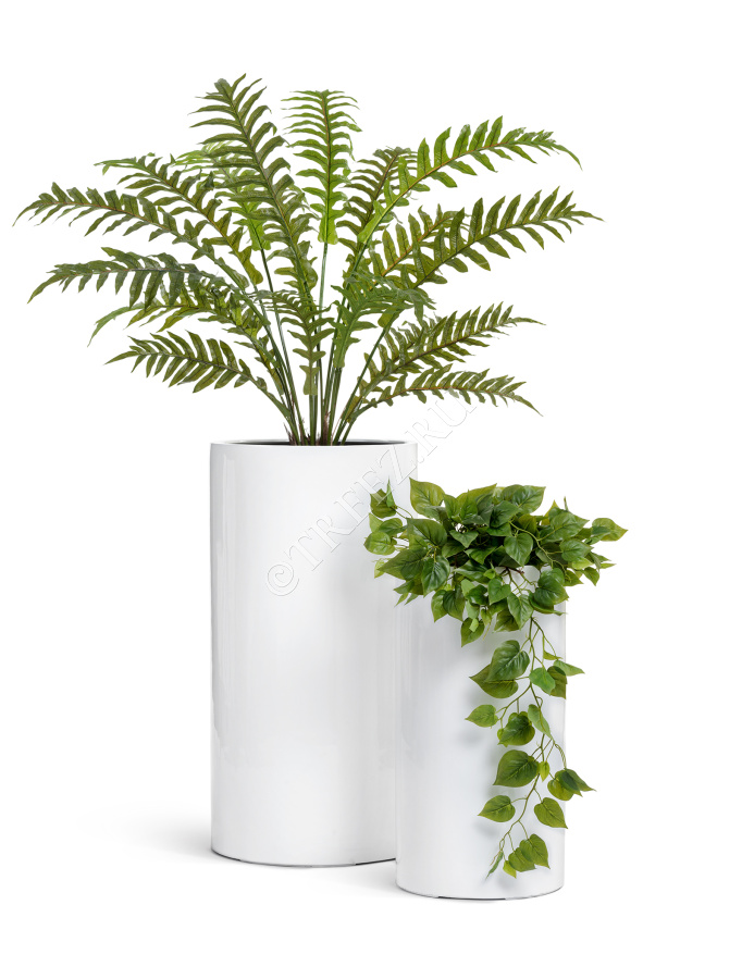 Кашпо TREEZ Effectory - Gloss - Цилиндр высокий- Белый глянцевый лак фото