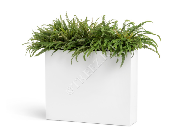 Кашпо TREEZ Effectory - Gloss - Дивайдер высокий - белый глянцевый лак фото