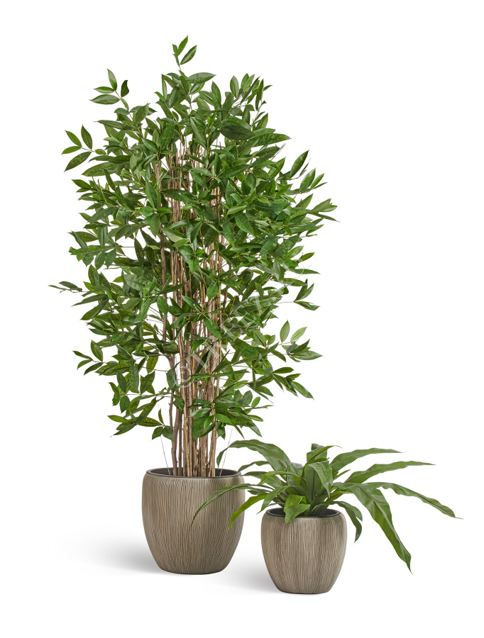 Кашпо TREEZ Effectory - Wow - Конус-Чаша - Капучино фото