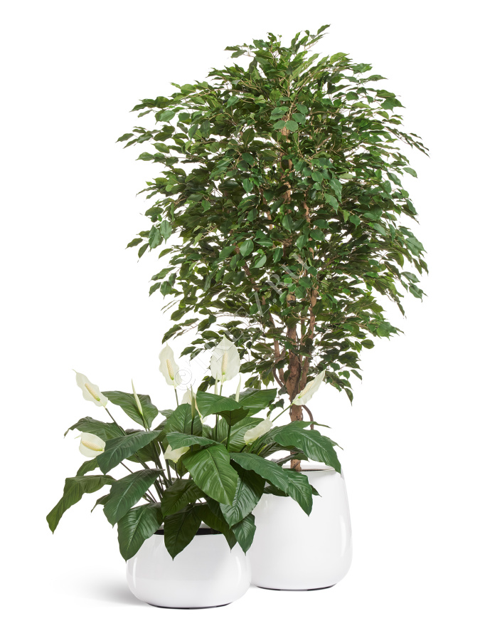 Кашпо TREEZ Effectory - Gloss - Низкая Design-чаша - Белый глянцевый лак фото