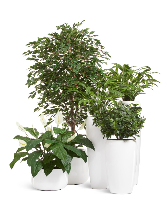 Кашпо TREEZ Effectory - Gloss - Низкая Design-чаша - Белый глянцевый лак фото