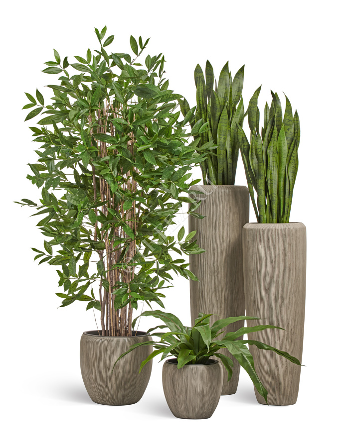 Сет № 42 - Композиция в кашпо Treez Effectory Wow Капучино фото