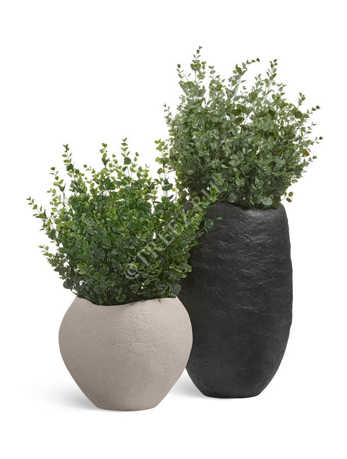 Сет № 69 - Композиция с эвкалиптом в кашпо Treez Effectory Organic фото