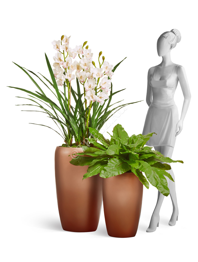 Сет № 101 - Композиция с орхидеей в матовых кашпо Treez Effectory Metal фото