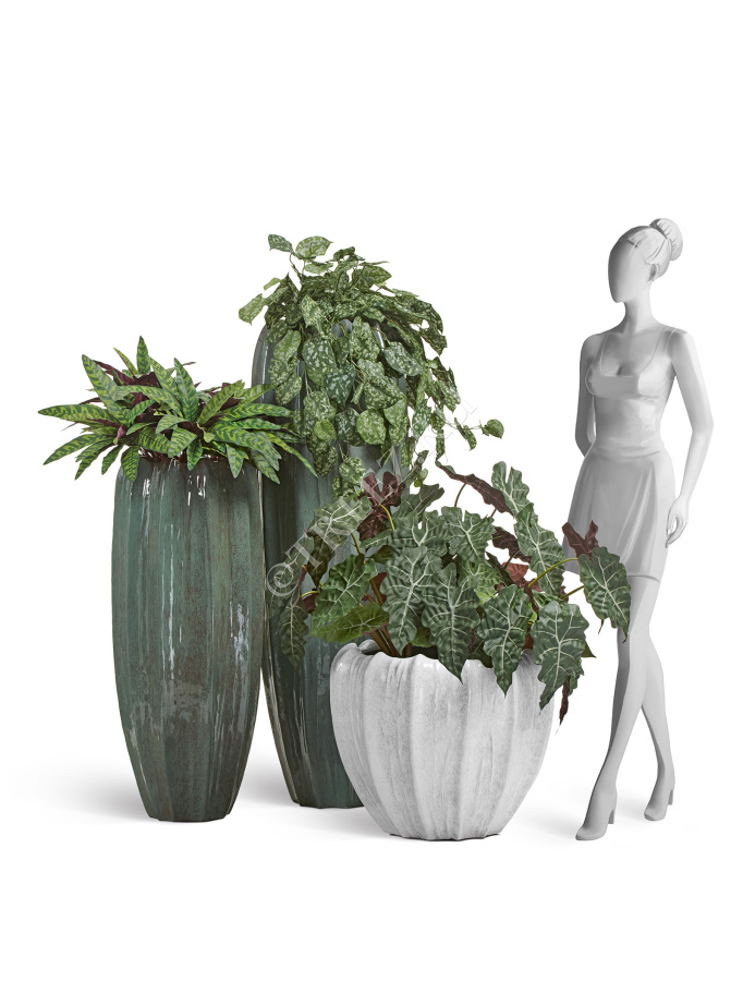 Сет № 109 - Композиция напольная в кашпо Treez Effectory Aura фото