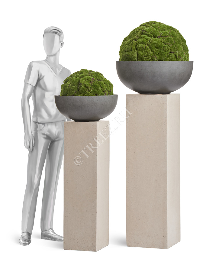 Сет № 132 - Композиция на колоннах в кашпо Treez Effectory Beton фото