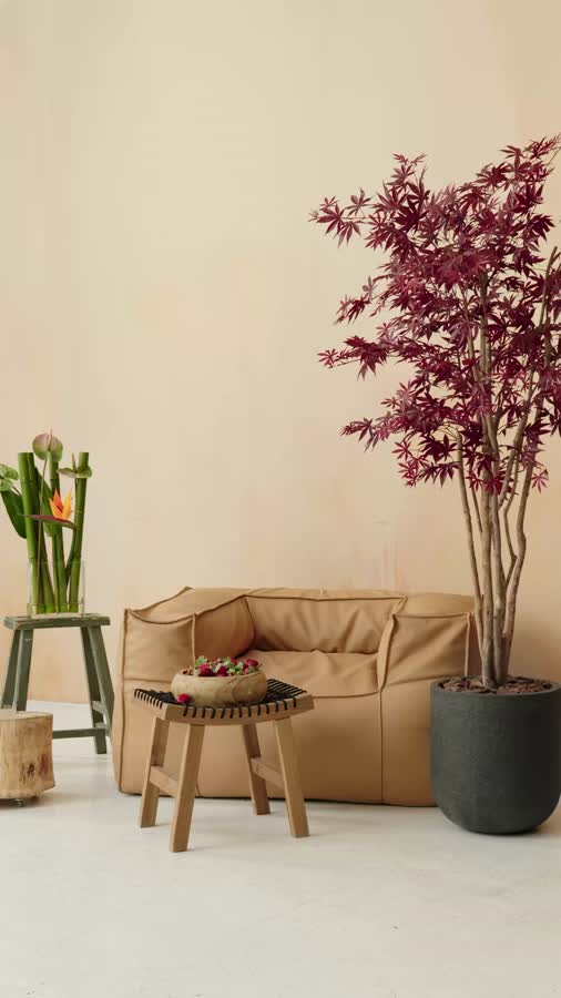 Клён японский Вайлд красный фото