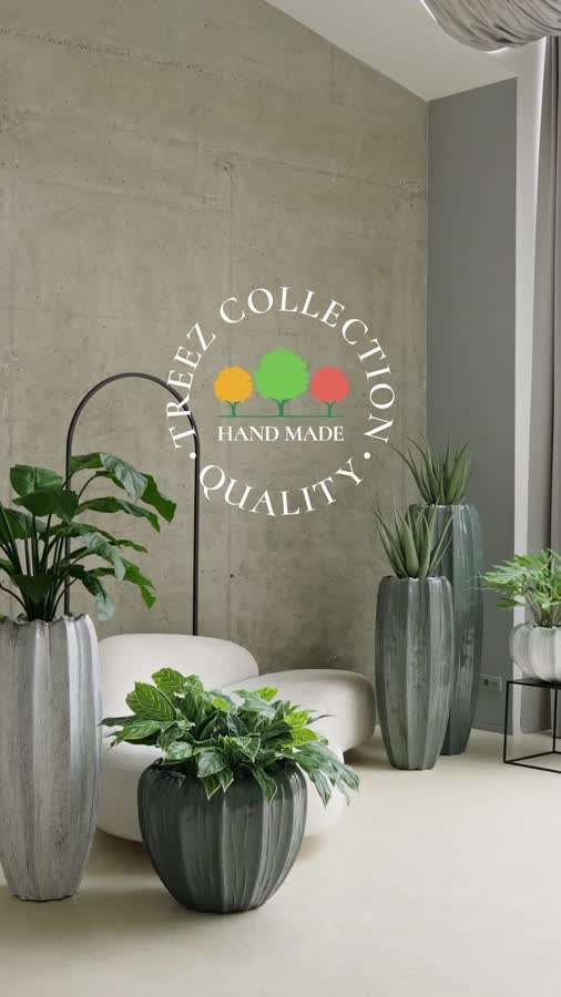 Папоротник Рэббит Фут в керамическом кашпо фото