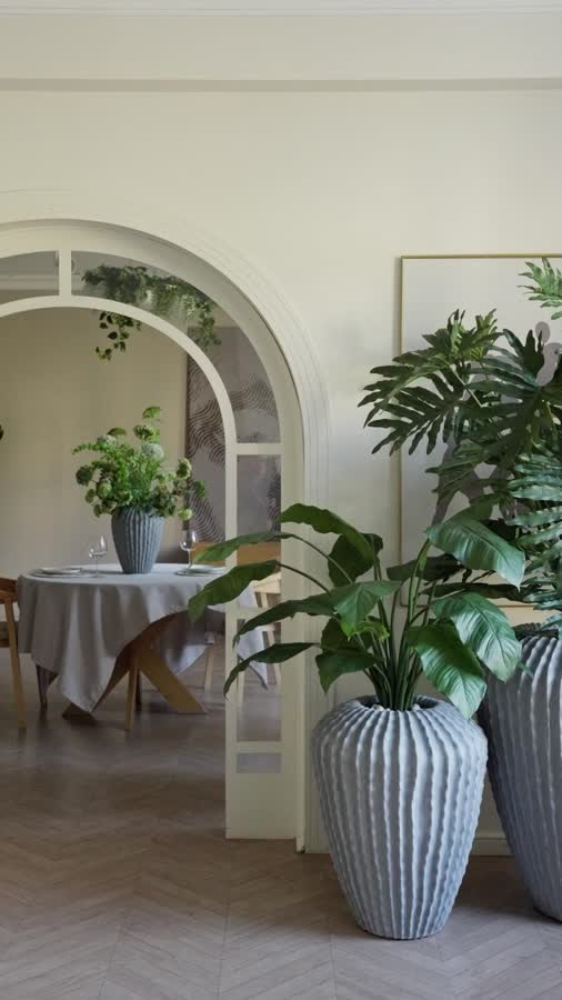 Спацифилум Гигант (без цветов) фото