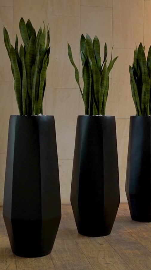 Кашпо TREEZ Effectory - Crystal - Высокий многогранник - Антрацит фото