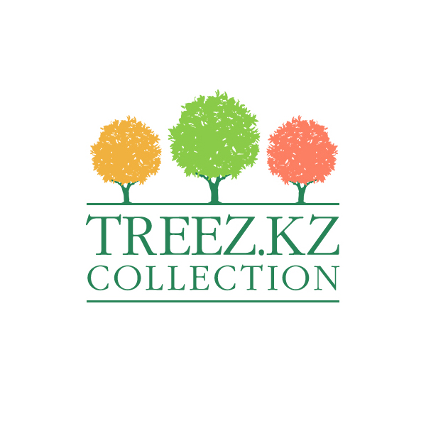 Treez.kz