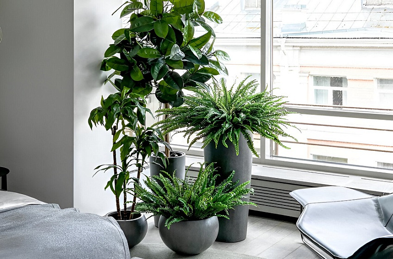 Интервью журналу MyDecor Russia. Поговорили о трендах - озеленение и современный интерьер